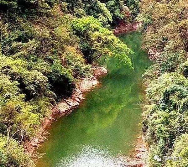 黎明守卫者